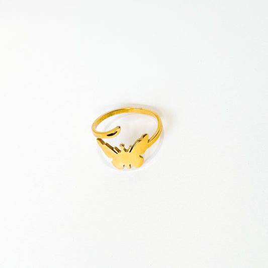 Anillo Ocean